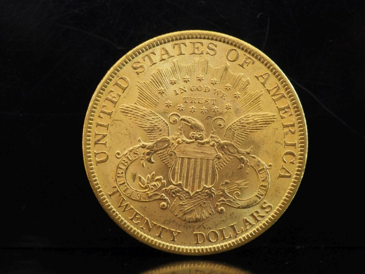 Pièce de 20 Dollars or, 1899.  FRAIS ACHETEURS 10% HT.   