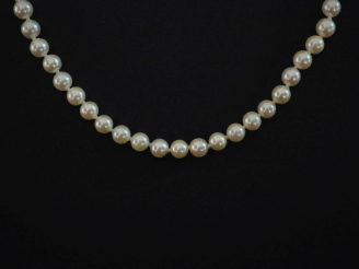 Vente aux enchères Collier de perles blanches.  Fermoir en or jaune 750. Chainette de séc