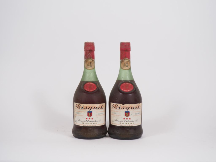 2 BOUTEILLES COGNAC BISQUIT DUBOUCHÉ - BS 