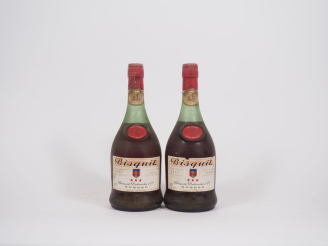 Vente aux enchères 2 BOUTEILLES COGNAC BISQUIT DUBOUCHÉ - BS 