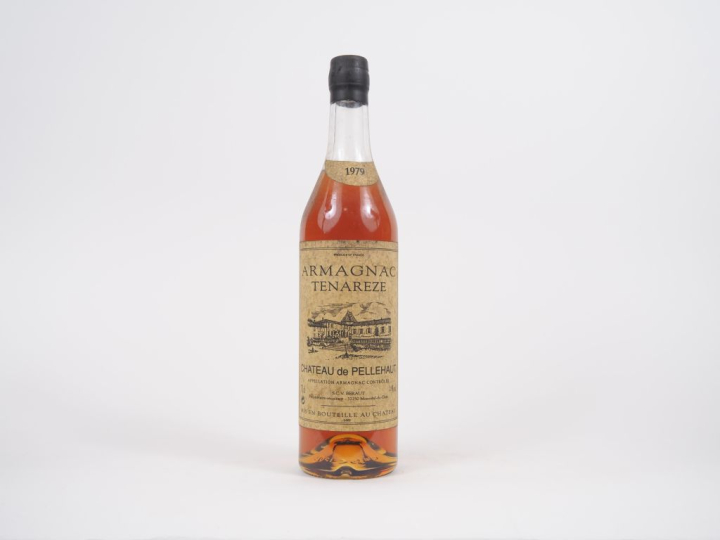1 BOUTEILLE ARMAGNAC CHÂTEAU DE PELLEHAUT 45° - 1979 - COFFRET