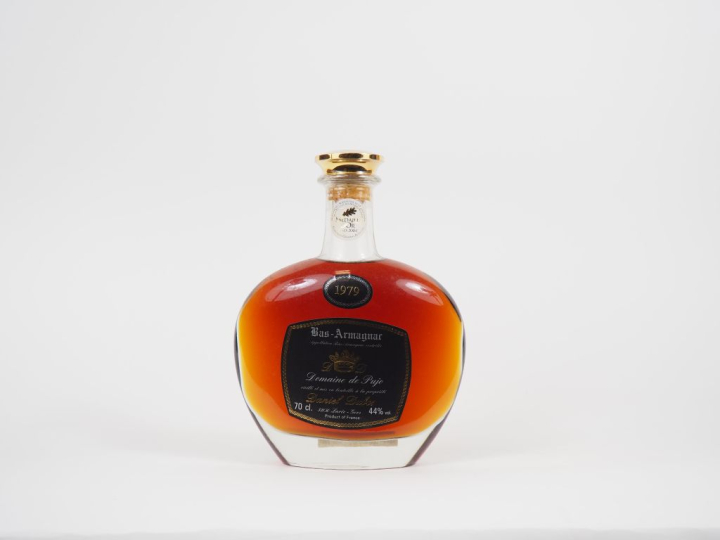 1 BOUTEILLE BAS ARMAGNAC DOMAINE DE PUJO D. DUBOS 44° - 1979 - COFFRET