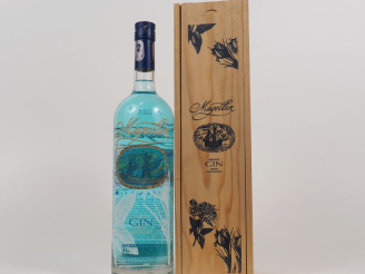 Vente aux enchères 1 BOUTEILLE GIN MAGELLAN