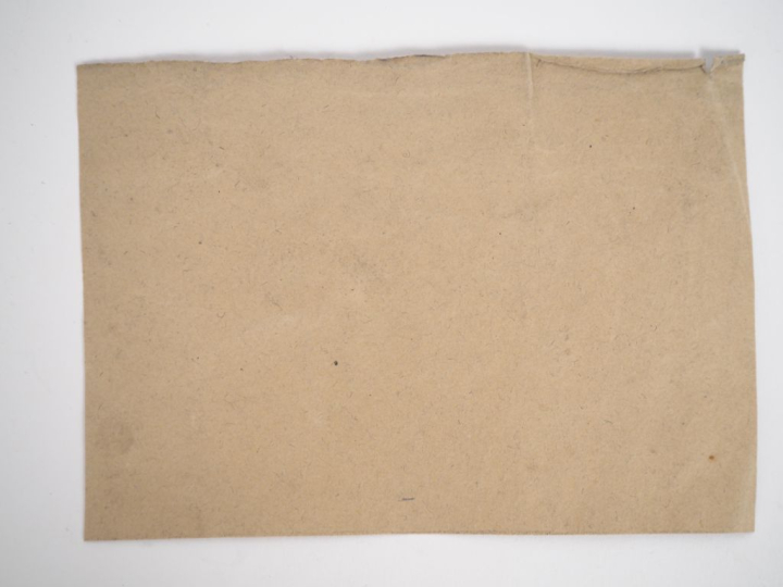 Marion MALFREY.  "Portrait d'Arthur Rimbaud" Dessin à la plume, signé 