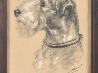 Vente aux enchères Germaine BOURET.  "le fox" Dessin au fusain et rehauts de craie signé 