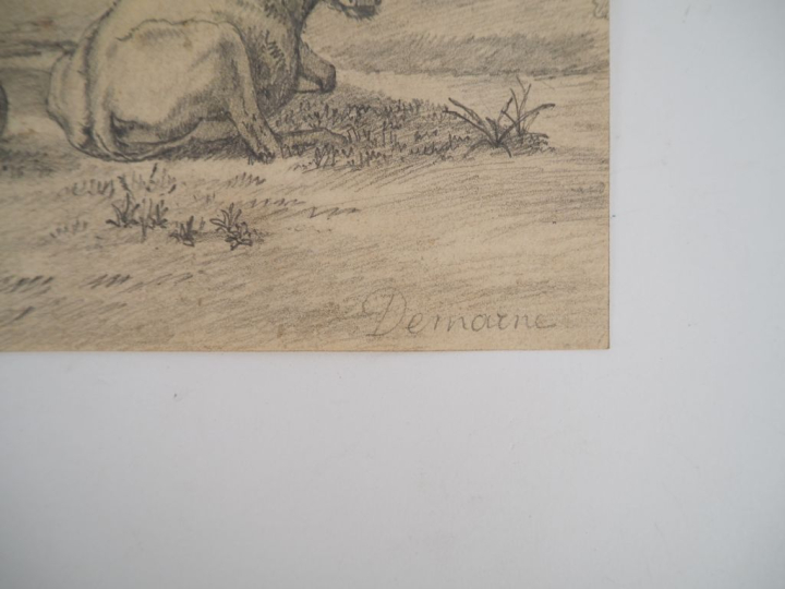 DEMARNE. (d'après) "Animaux"  Dessin au crayon Dim. 15 x 21 cm