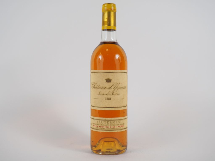 1 BOUTEILLE CHÂTEAU D'YQUEM 1er CCS SAUTERNES - 1981 - BG/ETLS