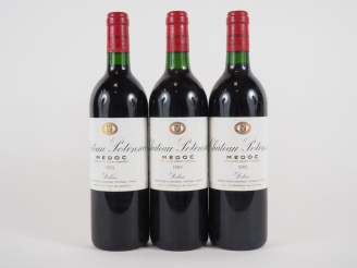 Vente aux enchères 3 BOUTEILLES CHÂTEAU POTENSAC MÉDOC - 1993