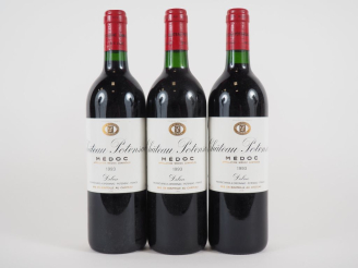 Vente aux enchères 3 BOUTEILLES CHÂTEAU POTENSAC MÉDOC - 1993