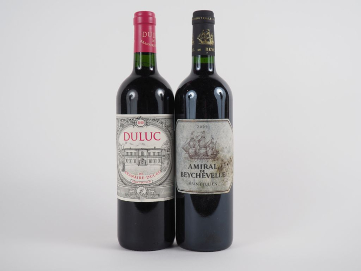 2 BOUTEILLES ST JULIEN : 1 AMIRAL DE BEYCHEVELLE 2009 EA - 1 DULUC DE 