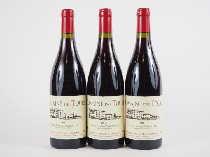 3 BOUTEILLES DOMAINE DES TOURS EMMANUEL REYNAUD - 2012