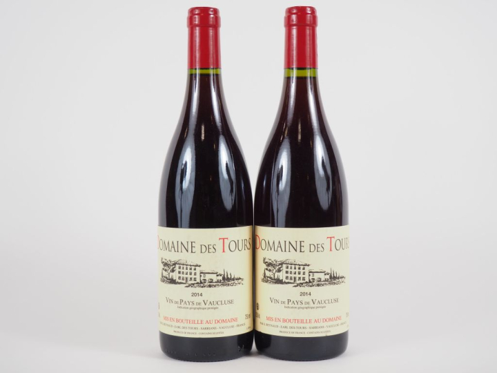 2 BOUTEILLES DOMAINE DES TOURS EMMANUEL RAYNAUD - 2014