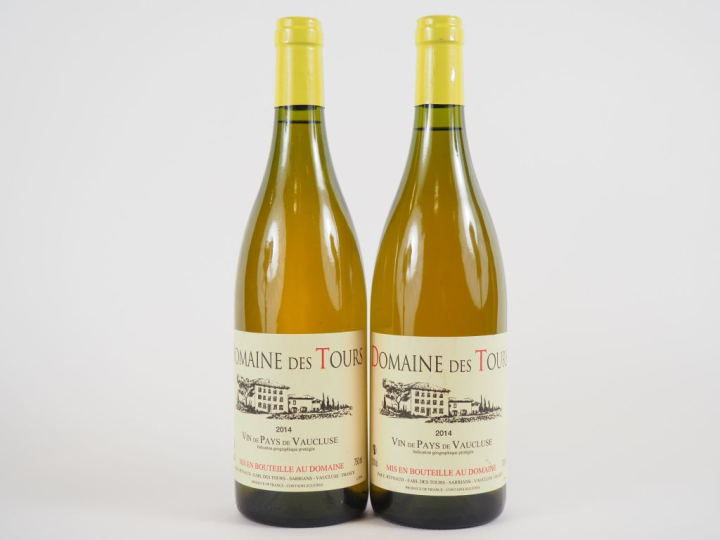 2 BOUTEILLES DOMAINE DES TOURS BLANC EMMANUEL REYNAUD - 2014