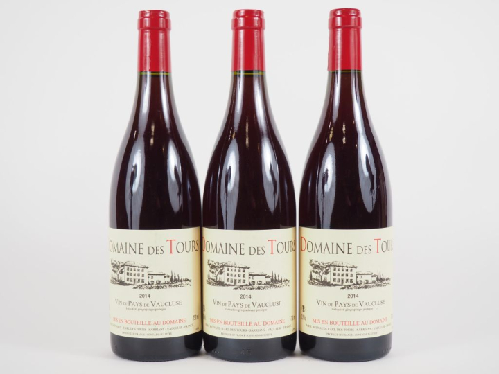 3 BOUTEILLES DOMAINE DES TOURS EMMANUEL RAYNAUD - 2014