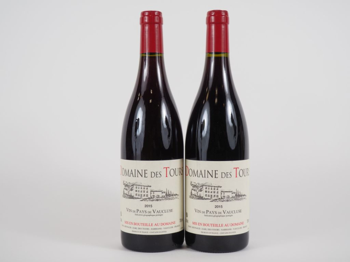 3 BOUTEILLES DOMAINE DES TOURS EMMANUEL REYNAUD - 2015