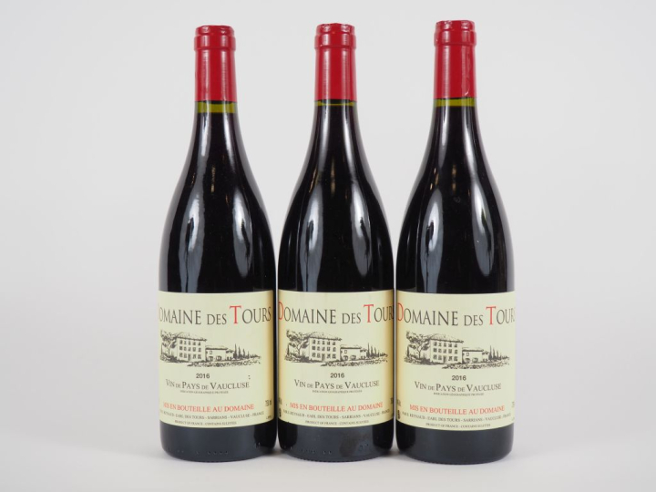 3 BOUTEILLES DOMAINE DES TOURS EMMANUEL REYNAUD - 2016