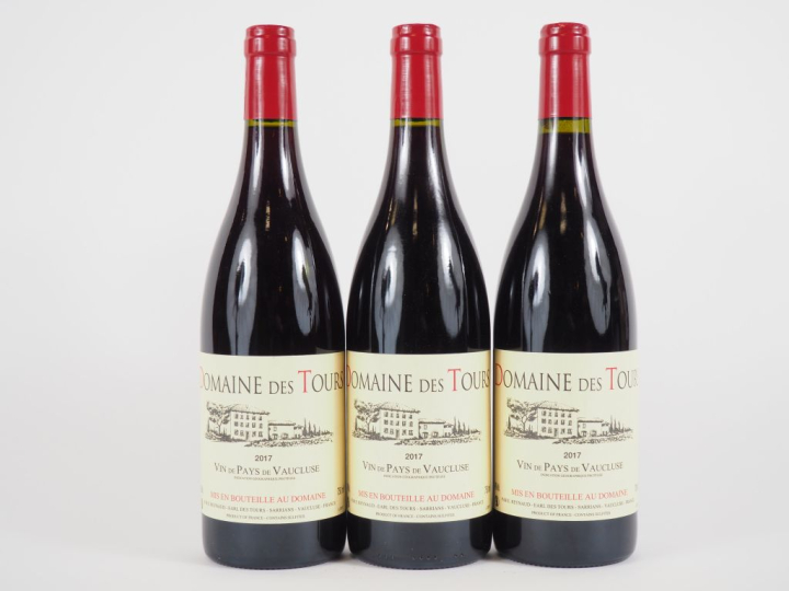 3 BOUTEILLES DOMAINE DES TOURS EMMANUEL RAYNAUD - 2017