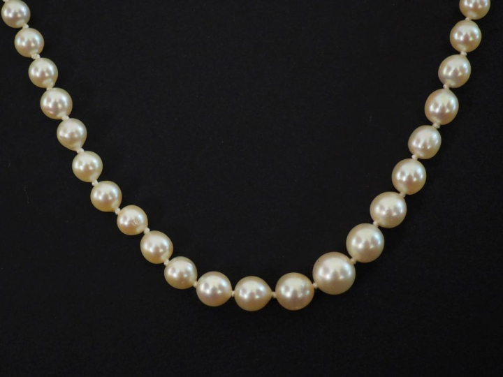 Collier de perles blanches disposées en chute.  Fermoir en or blanc 75