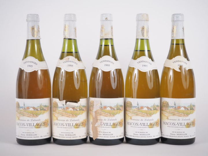5 BOUTEILLES MACON VILLAGES DOMAINE DE LALANDE E. MORILLON - 1995 - EA