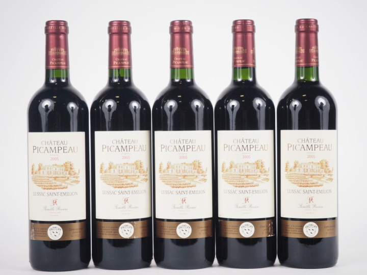5 BOUTEILLES CHÂTEAU PICAMPEAU LUSSAC ST ÉMILION - 2005 - 1 BG