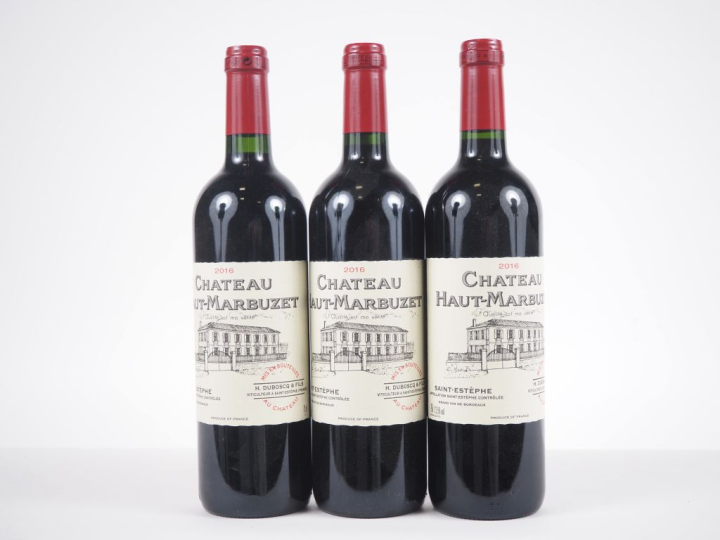 3 BOUTEILLES CHÂTEAU HAUT MARBUZET ST ESTÈPHE - 2016
