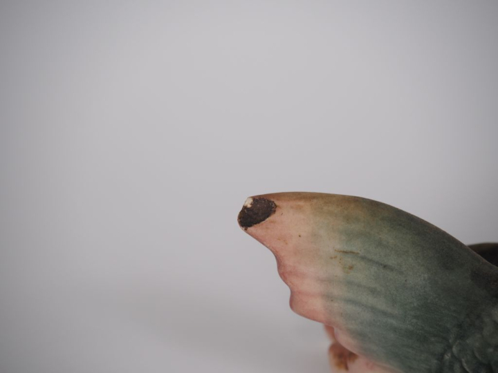 Vide-poches en barbotine polychrome figurant deux poissons dont une an