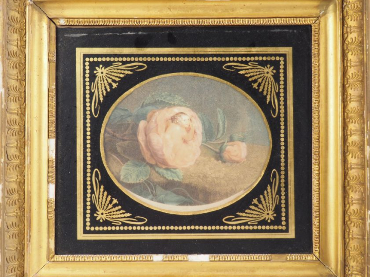 4 gravures en couleur début XIXème dans des cadres en stuc doré et ver