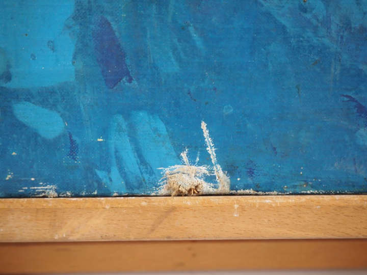 Yves CORBASSIERES. "Composition". Huile sur toile, signée au dos et da