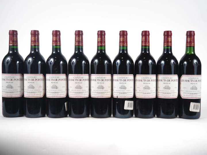 9 BOUTEILLES CHÂTEAU LES HAUTS DE PONTET PAUILLAC - 1994 - 1 BG/1 ETLT