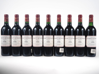 Vente aux enchères 9 BOUTEILLES CHÂTEAU LES HAUTS DE PONTET PAUILLAC - 1994 - 1 BG/1 ETLT