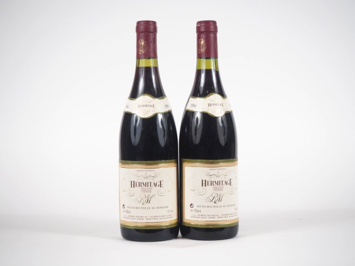 2 BOUTEILLES HERMITAGE DOMAINE SAINT JEMMS ROBERT MICHELAS - 1994 