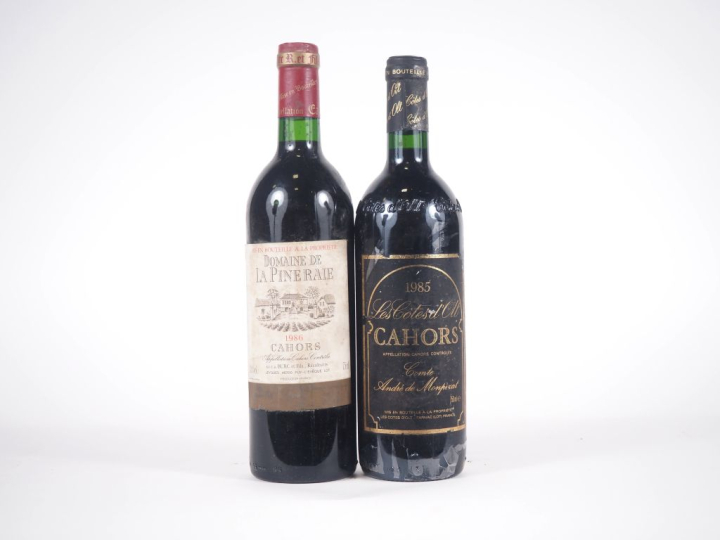 2 BOUTEILLES CAHORS  : 1 BOUTEILLE DOMAINE DE LA PINERAIE 1986/1 BOUTE
