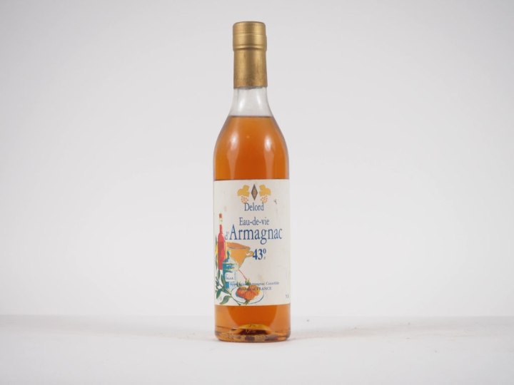 1 BOUTEILLE EAU DE VIE D'ARMAGNAC DELORD 50 cl - 43 % 