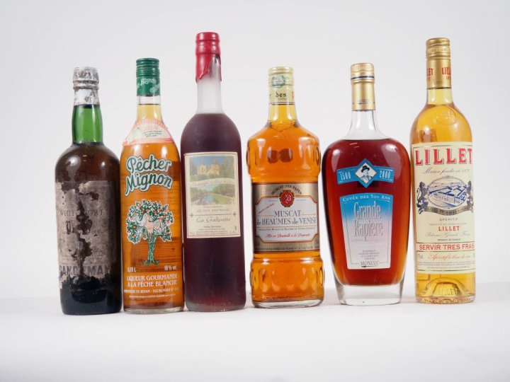 6 BOUTEILLES : 1 PORTO BLANC VERY SUPER OLD SANDEMAN - ETA/1 PÊCHER MI