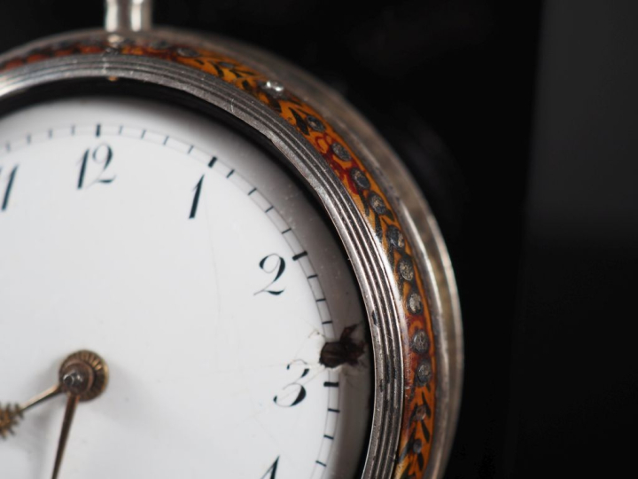 PHILIP PHILLIPO N° 8421 Montre en argent anglais avec boîtier de prote