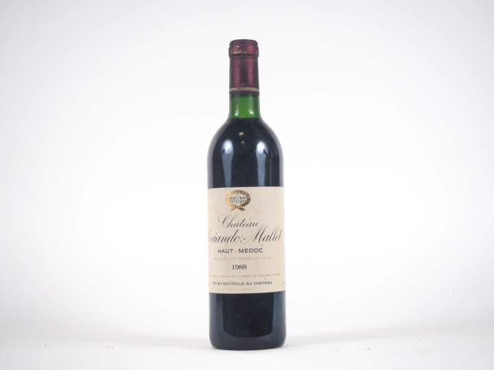 1 BOUTEILLE CHÂTEAU SOCIANDO MALLET HAUT MÉDOC - 1988 - BG 