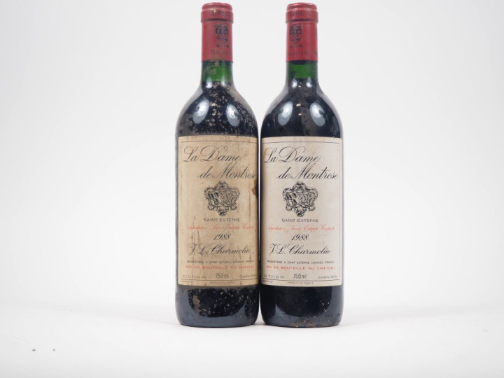 2 BOUTEILLES LA DAME DE MONTROSE ST ESTÈPHE - 1988 - ES/BS