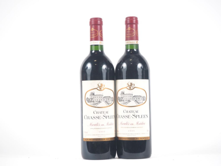 2 BOUTEILLES CHÂTEAU CHASSE SPLEEN MOULIS - 1995 
