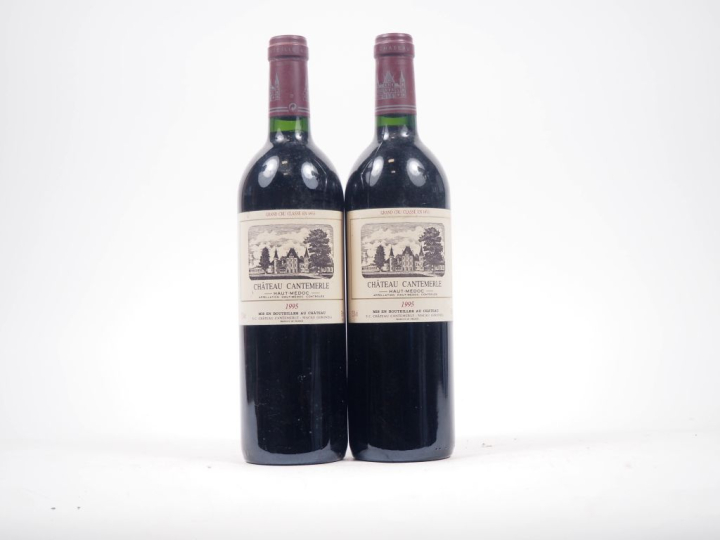 2 BOUTEILLES CHÂTEAU CANTEMERLE GCC HAUT MÉDOC - 1995 