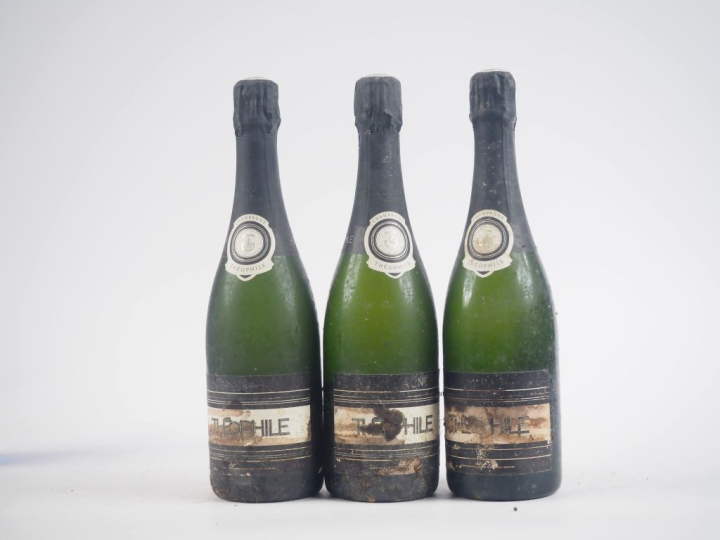 3 BOUTEILLES CHAMPAGNE THÉOPHILE - BS