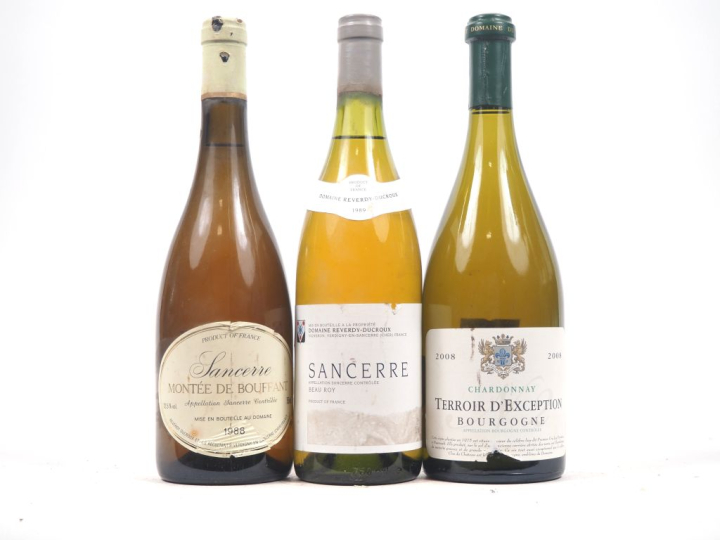 3 BOUTEILLES : 1 SANCERRE "MONTÉE DE BOUFFANT" - 1988 - EA/1 SANCERRE 