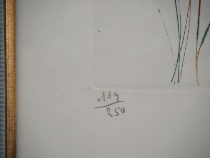 DALI.  Lithographie numérotée 119/250 contresignée en bas à droite