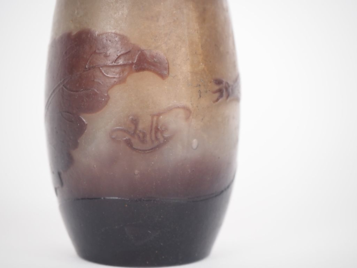GALLE. Vase en verre gravé à décor en camée et dégagé à l'acide. Signé