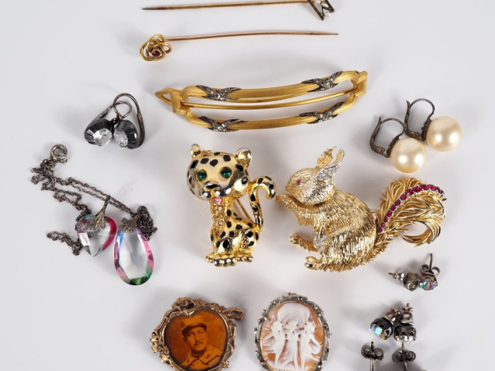 Ensemble de bijoux fantaisie comprenant :  - 2 broches zoomorphes - Un