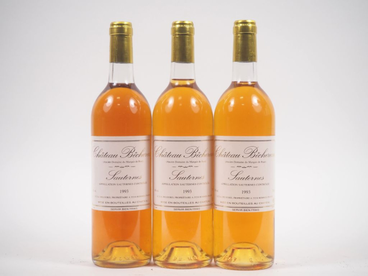3 BOUTEILLES CHÂTEAU BÊCHEREAU SAUTERNES - 1993