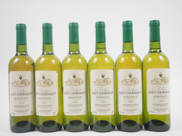 6 BOUTEILLES CHÂTEAU HAUT CARNILLOT BORDEAUX - 2016 