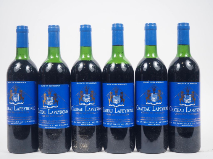 6 BOUTEILLES CHÂTEAU LAPEYRONIE CÔTES DE CASTILLON - 1991 - 4 LB/1 HEP