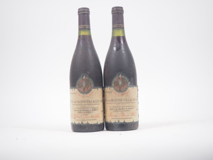 2 BOUTEILLES MEURSAULT NOIROT - 1991 - BS 