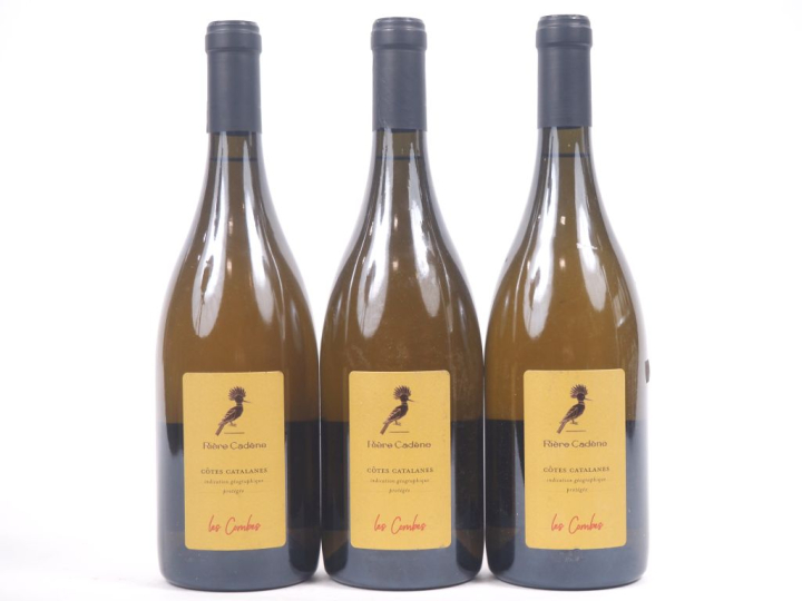 3 BOUTEILLES CÔTES CATALANES BLANC LES COMBES RIÈRE CADÈNE - 2020 