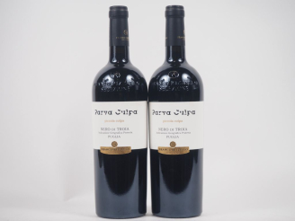 Vente aux enchères 2 BOUTEILLES NERO DI TROIA PARVA CULPA "PICCOLA COLPA" - 2017